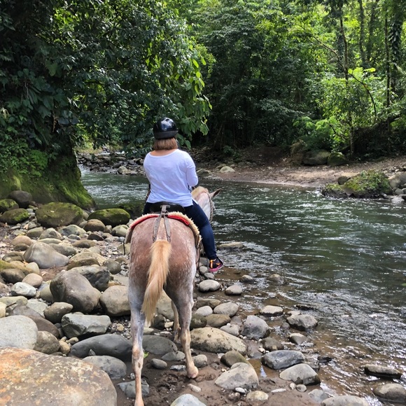 Meet your Posher, Celeste a Traveler - Picture 2 of 7